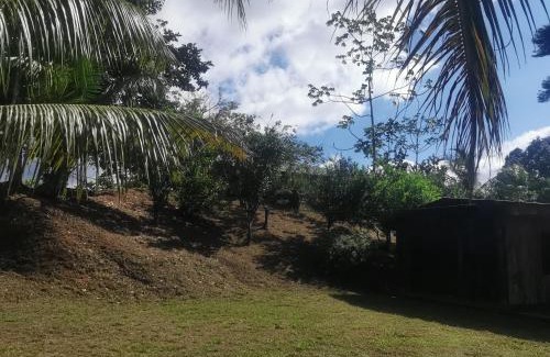 Drake Bay Apartment | Hotel la montaña el trogon