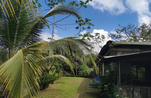 Drake Bay Apartment | Hotel la montaña el trogon