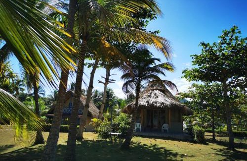 Palomino Hotel | Hotel Playa Mandala