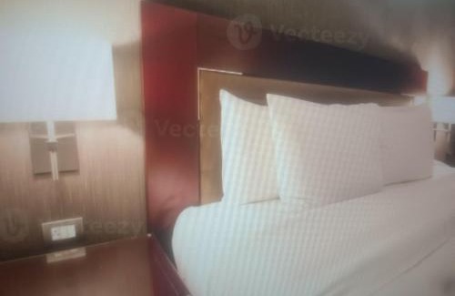 Bahadrabad Hotel | Hotel Renuka