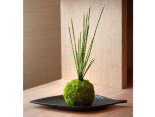 Nakasu Hotel | Hotel Resol Trinity Hakata