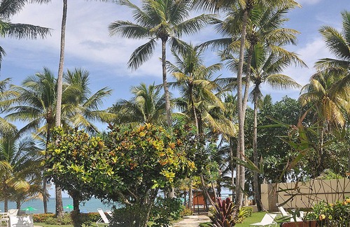 Cabarete Apartment | Hotel suite in beachfront luxury resort near shops and dining, TV/AC/Wi-Fi/pool