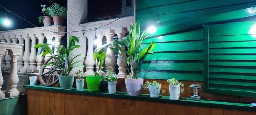 Centar Apartment | Hotel Villa Alexander