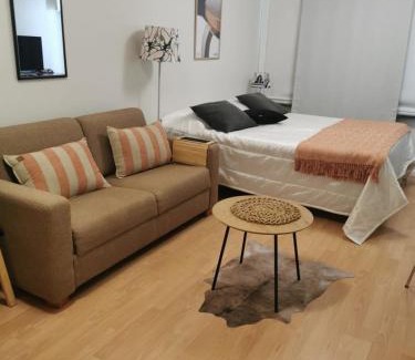 Ikaalinen Apartment | Hotelli Terme 614