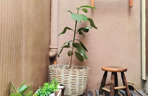 Paraviana House | House with terrace, pool & sea view