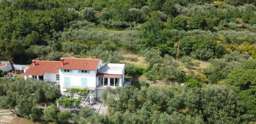 Hrvatini Apartment | House among olive trees with a sea view 3
