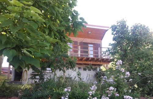Trigueres House | House clad in wood surrounded by nature.