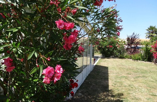 Saint-Georges-de-Didonne House | House/Villa - SAINT GEORGES DE DIDONNE