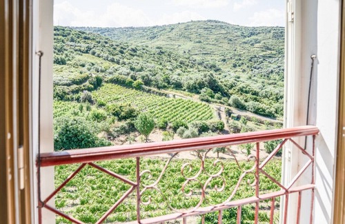 Modolo House | House in the Grapevine - Gabriel