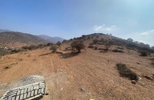 Arbaa Sahel House | house surrounded by trees in a village