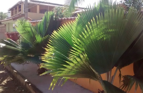 Tamoios House | House TAMOIOS CABO FRIO
