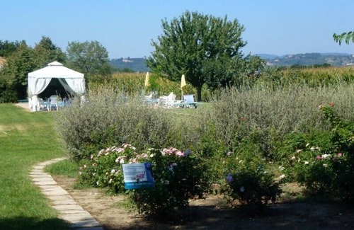 Torgiano House | House With Pool In A Wine Estate Close To Assisi And Perugia. Free WIFI