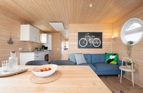 Ostholstein Apartment | Houseboat for 3 guests with 60m² in Fehmarn OT Burgtiefe (295127)