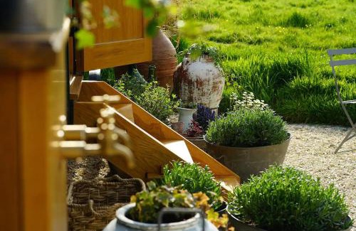 Royal Tunbridge Wells Cabin | Humphrey Hut