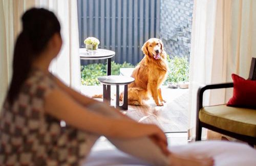 Shanghai Hotel | Hyatt Regency Chongming