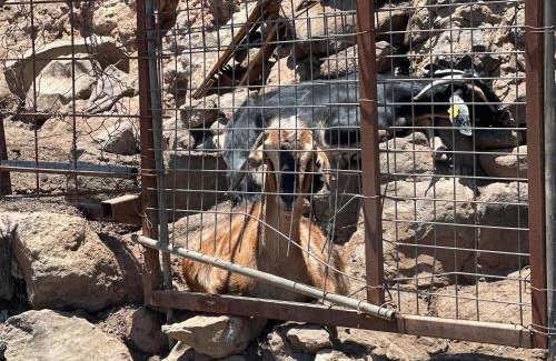 La Solana House | Ibaiale