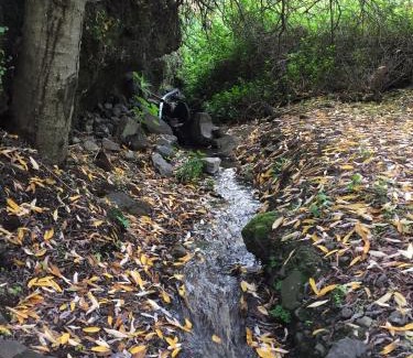 La Solana House | Ibaiale