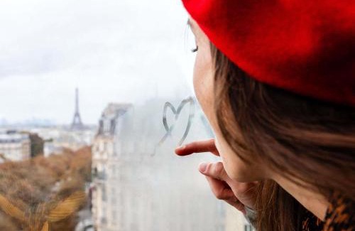 Necker Hotel | Ibis Paris Gare Montparnasse 15ème