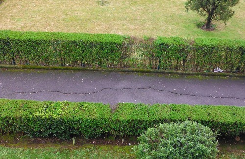 Algorta Apartment | Ideal families. Wifi, bus at the door, area without OTA, beach nearby