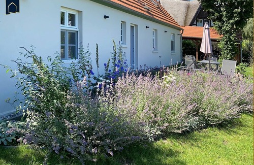 Rankwitz House | Idyllic vacation home on a large plot - lots of peace & nature