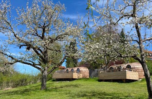 Wangen im Allgaeu Other | IGLUCAMPING Allgäu-Bodensee