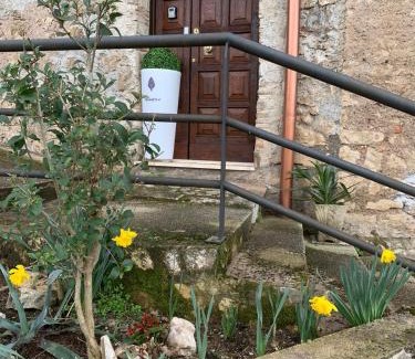 Carpineto Romano House | Il Carpino -Elegante Dimora storica con sauna