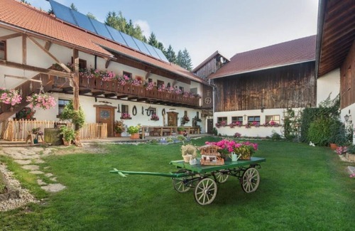 Eppenschlag Apartment | Im Bayerwald-Stil gestaltete FeWo (60 m2) mit eigener Terrasse