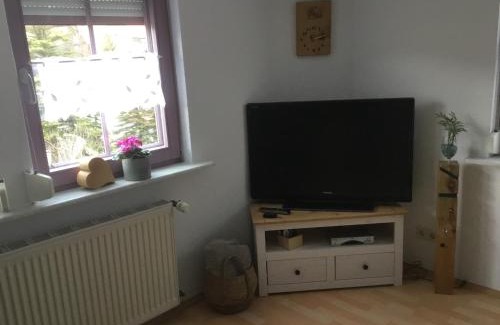 Schonach im Schwarzwald Apartment | Im Salzgässle