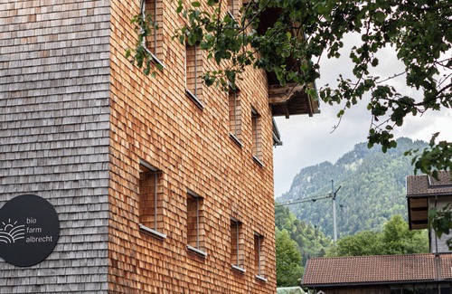 Grossdorf Apartment | In the middle of the beautiful nature of the Bregenzerwald!