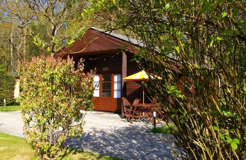 Ashford Ski Chalet | Indoor Pool. Beautiful 2 bed lodge sleeping 4 set in 5acre of beautiful Woodland