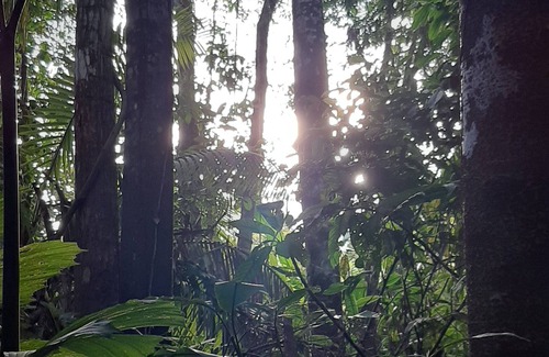 Belen Cabin | Inti Amazon Lodge - Lupuna Zona 2