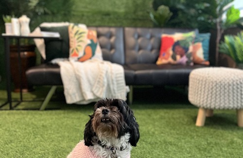 Chosewood Park Apartment | Intimate Group Dinner & Photoshoot Green Space