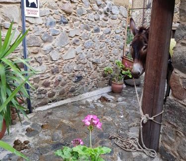 Kakopetria House | Irene's House