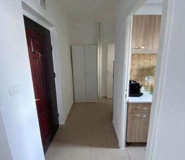 Calea Sever Bocu Apartment | Iulius Town view apartment