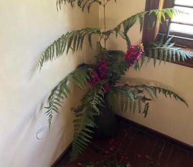 Madikeri Ski Chalet | Java Hills