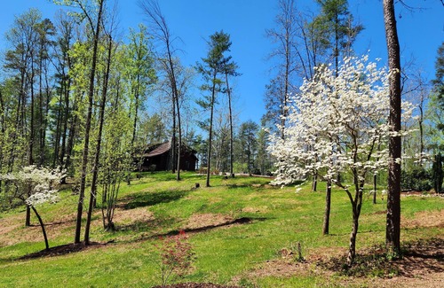 Lenoir Cabin | JennyBud Cabin. Private with HotTub and Firepit.