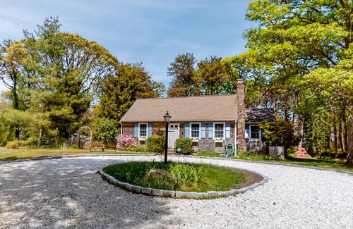 Brewster House | John Hazelnut