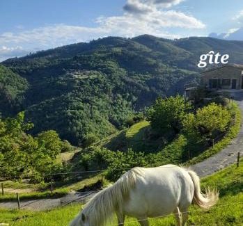 Lentilleres House | Jolie maison avec vue, dans bâtisse cévenole
