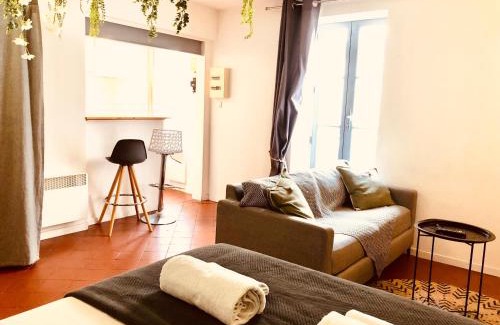 Nimes City Centre Apartment | JUNGLE Hyper Centre