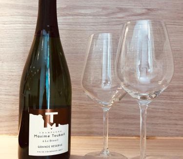 Nimes City Centre Apartment | JUNGLE Hyper Centre