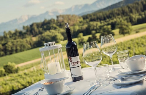 Briefelsdorf House | Juniorsuite - Trippelgut