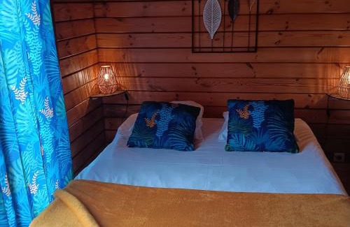 Digoin Boat Rental | Jupiter - API-1-46-26