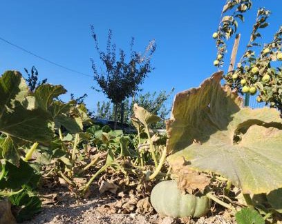 Altıeylul House | Kabaklı Turizm Amaçlı Konut Daire 1