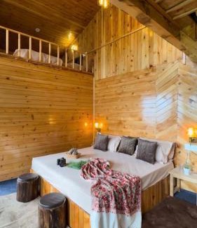 Jibhi Ski Chalet | Kakapo Nest a Big Chill Treehouse