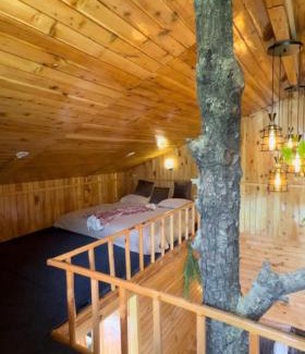 Jibhi Ski Chalet | Kakapo Nest a Big Chill Treehouse