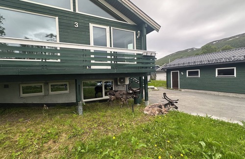 Tromso Apartment | Kaldfjord Aurora Apartments New top floor. Free parking. Close to nature.