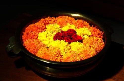 Udumbanchola Hotel | Karamangattu Residency