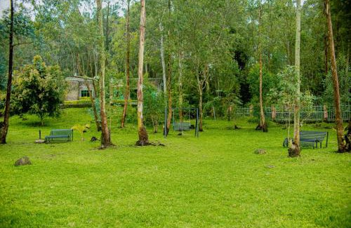Ruhengeri Hotel | Karisimbi Cave Resort