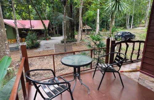 Phanom Hotel | Khaosok Creek and Jungle Resort