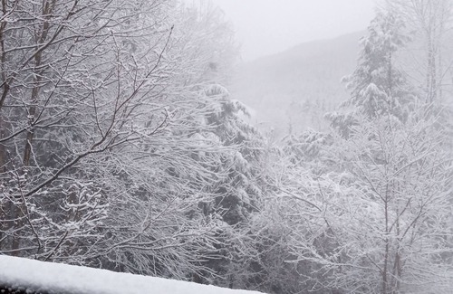 Pittsfield House | Killington area home - 4-seasons & hot tub. Sleeps 13+